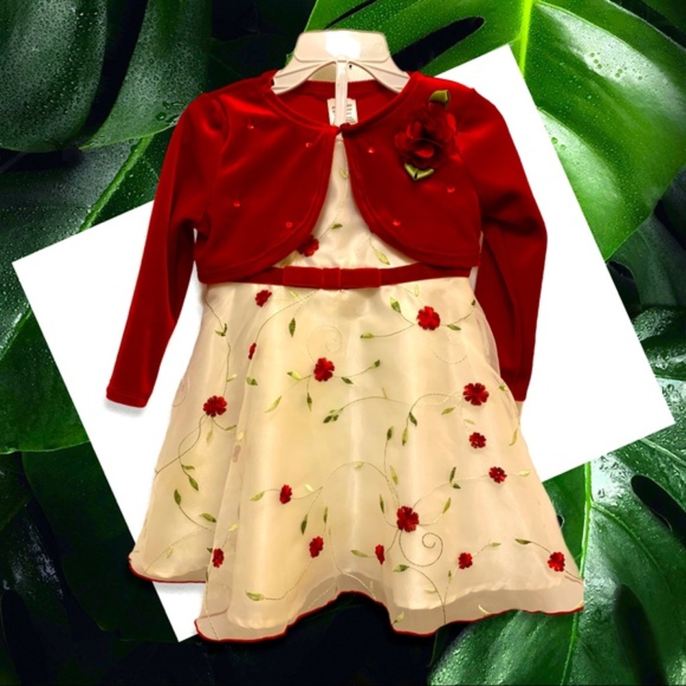 Beautiful Youngland Dress With Jacket